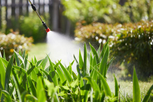 24/7 Emergency Mosquito Control experts in Ogdensburg, NY