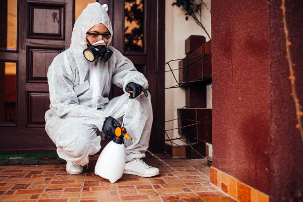 Reliable Mosquito Control contractor in Ogdensburg, NY by Show Me Pest Control